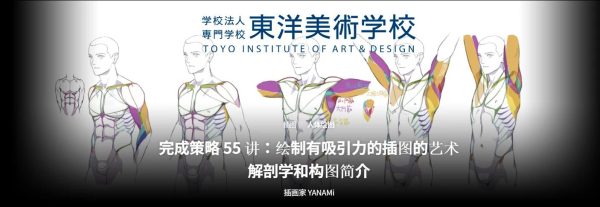 【更新中】YANAMi-完成策略 55 讲：绘制有吸引力的插图的艺术解剖学和构图简介-coloso（A047）-爱画画的卷心菜