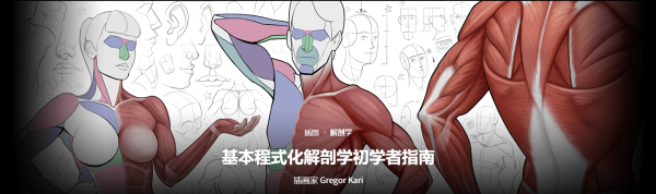 【团】Gregor Kari-基本程式化解剖学初学者指南-coloso（A031-01）-爱画画的卷心菜