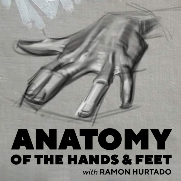 【团】Ramon Hurtado-手脚解剖学-underpaintacademy（A052）-爱画画的卷心菜