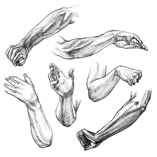 图片[2]-F006-加藤公太人体解刨绘画图集-爱画画的卷心菜