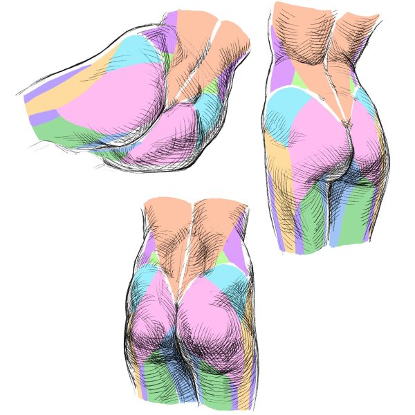 图片[6]-F006-加藤公太人体解刨绘画图集-爱画画的卷心菜