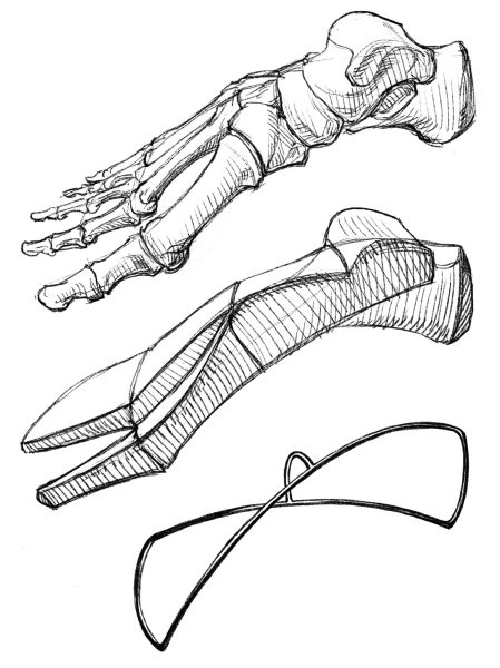 图片[7]-F006-加藤公太人体解刨绘画图集-爱画画的卷心菜