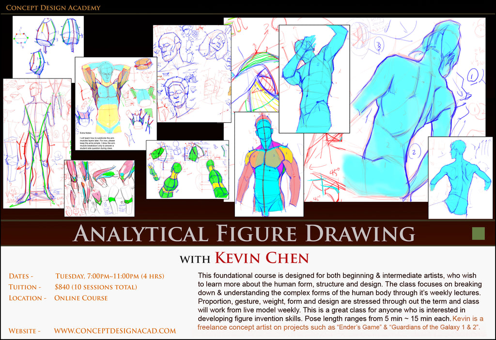 A084-分析图画-爱画画的卷心菜