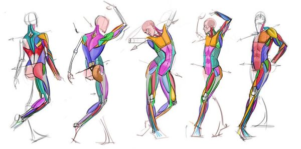 图片[1]-A071-FLASH – 角色设计剖析-爱画画的卷心菜