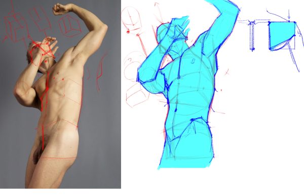 图片[1]-A084-分析图画-爱画画的卷心菜