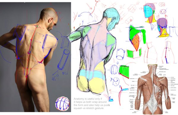 图片[2]-A084-分析图画-爱画画的卷心菜