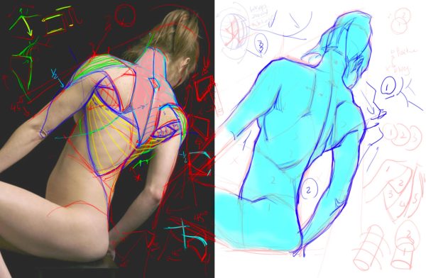 图片[3]-A084-分析图画-爱画画的卷心菜