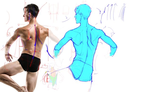 图片[4]-A084-分析图画-爱画画的卷心菜