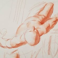 图片[4]-A188-Ramon Hurtado人体大课-爱画画的卷心菜