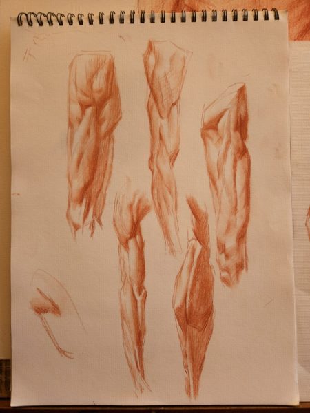 图片[6]-A154-一起完成基础课程-爱画画的卷心菜