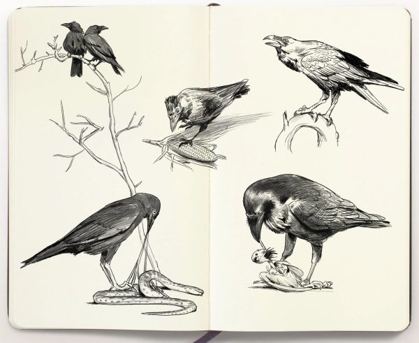 图片[7]-A068-进行创意素描-爱画画的卷心菜