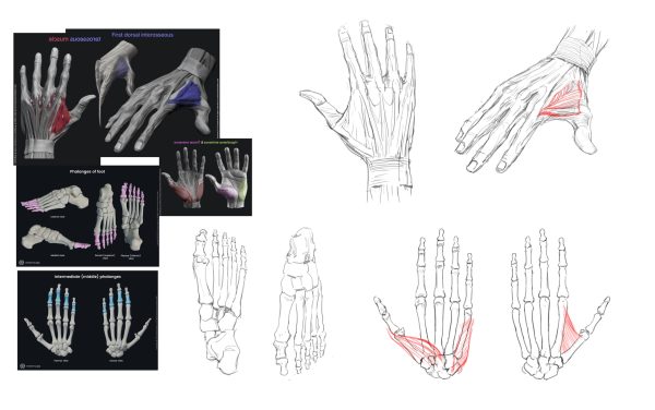 图片[73]-A058-Faraz Shanyar 的动态角色概念图-爱画画的卷心菜