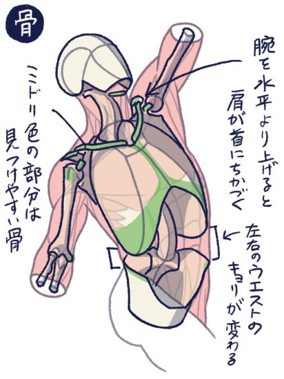 F006-加藤公太人体解刨绘画图集-爱画画的卷心菜