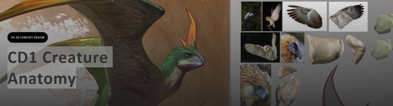 A146-生物设计-爱画画的卷心菜