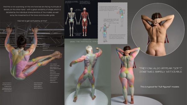 图片[2]-F031-人体背部解剖终极指南｜形体结构深度解析-爱画画的卷心菜