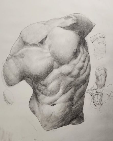 到底该怎么入门绘画？-爱画画的卷心菜
