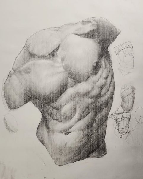 图片[4]-L011-雕塑绘画系统大师课-理解形体-爱画画的卷心菜