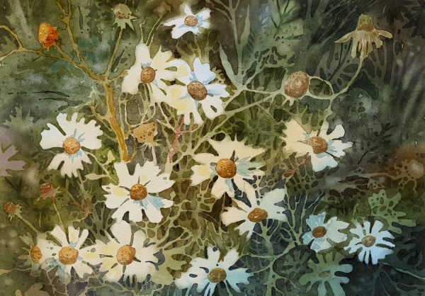 图片[8]-F016-Adilson Farias独家Procreate 数字水彩笔刷套装-爱画画的卷心菜