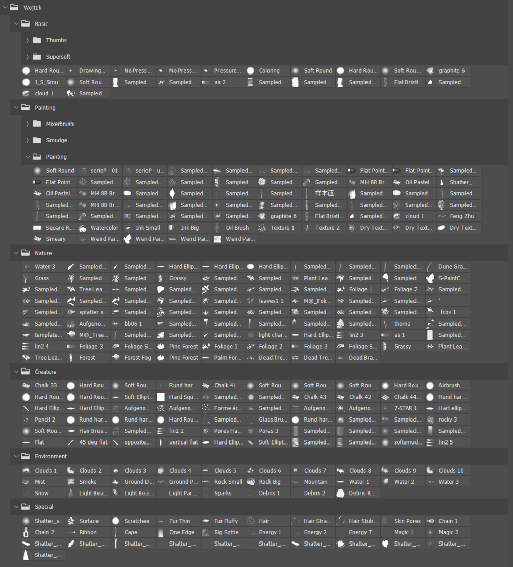 有菜又爱画画的卷心菜
