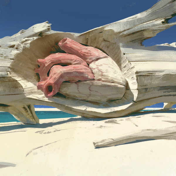 图片[3]-A025-Adrian Bush的叙事插图-爱画画的卷心菜