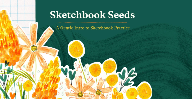 【ai精翻】Sketchbook Seeds：Sketchbook 练习入门-爱画画的卷心菜