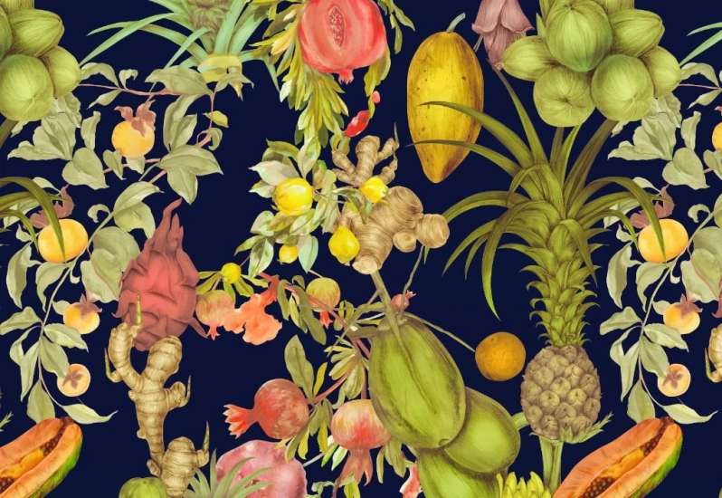 【ai精翻】探索水彩、钢笔和霓虹色：画出鲜艳的水果-爱画画的卷心菜