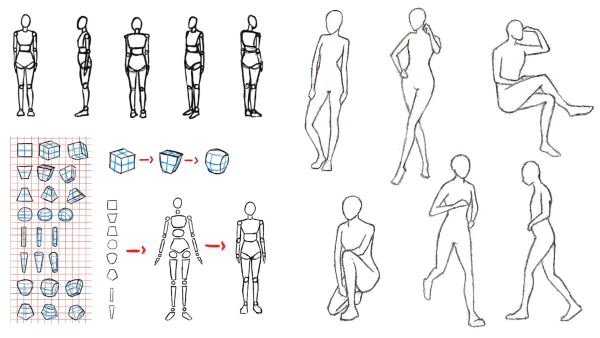 图片[1]-F0113-初学者绘画教程 – 轻松掌握解剖学-爱画画的卷心菜