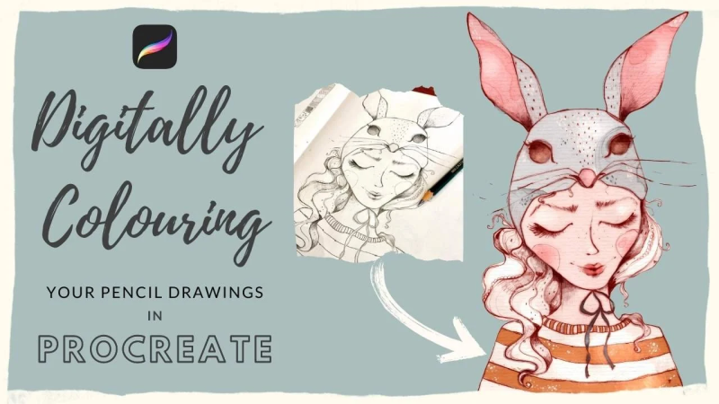 【ai精翻】在 Procreate 中为你的绘画作品进行数字着色-爱画画的卷心菜