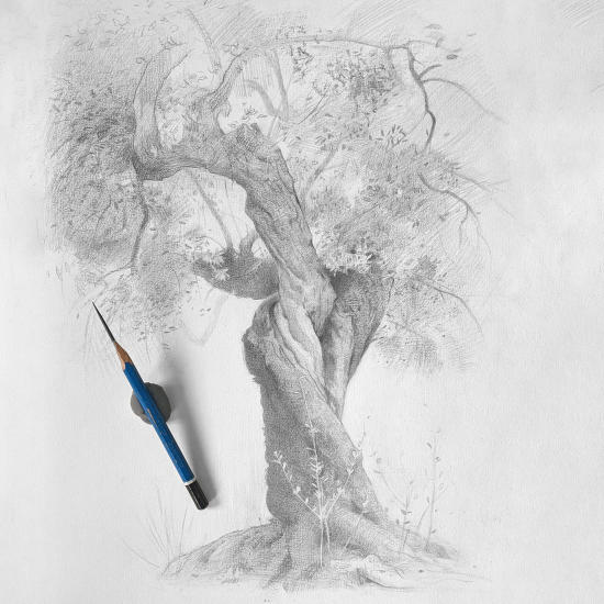 F041-「绘画基础课程」入门必看-如何掌握正确的比例（含PDF文件）-爱画画的卷心菜