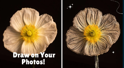 【ai精翻】照片及其他领域的数字笔刷-爱画画的卷心菜