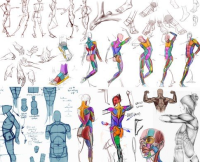 F0112-分析人物素描课程