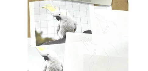 F0153-将图像绘制到水彩纸上的基本方法——网格法、描摹法或透光法-爱画画的卷心菜