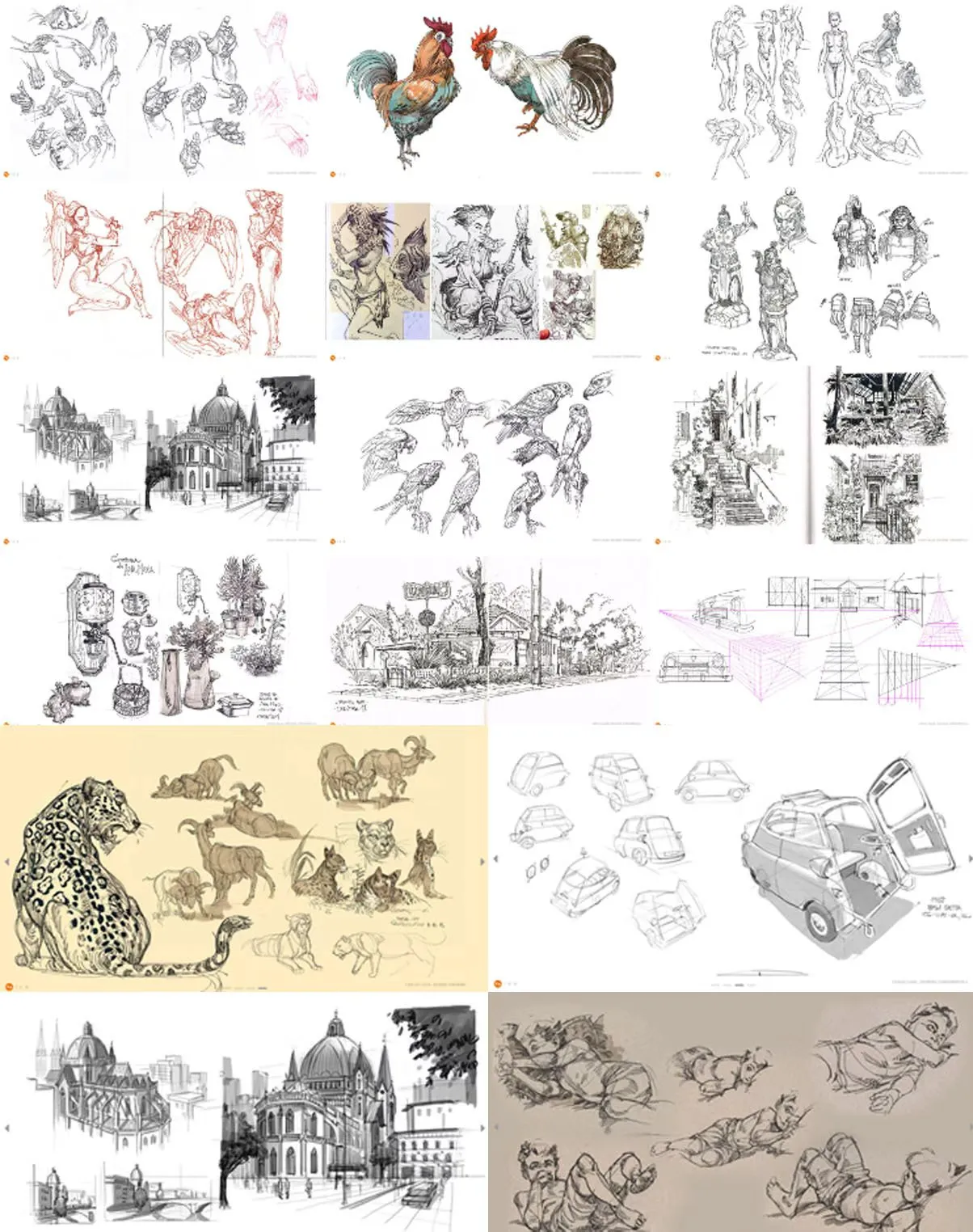 L018-绘画基础全面课程