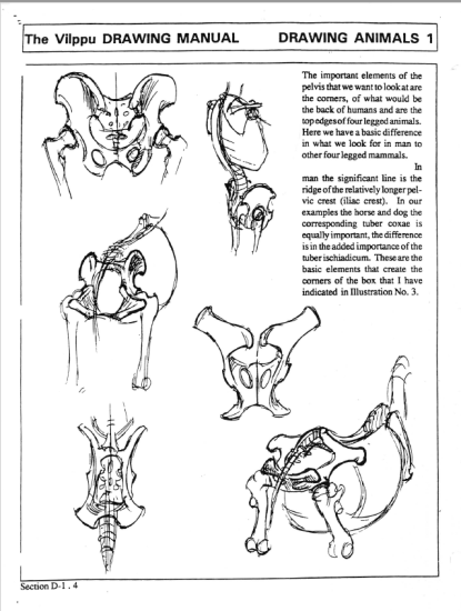 F045-【绘画指南】Vilppu animal drawing manual (Glenn V Vilppu)-爱画画的卷心菜