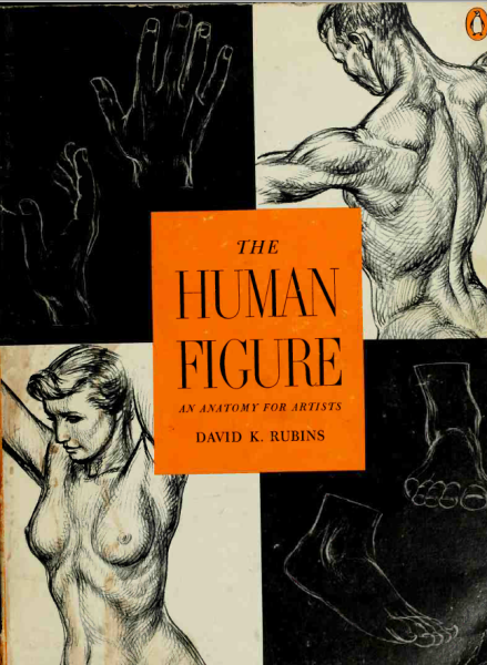 F047-【绘画指南】The Human Figure An Anatomy for Artists (Rubins David K.)-爱画画的卷心菜