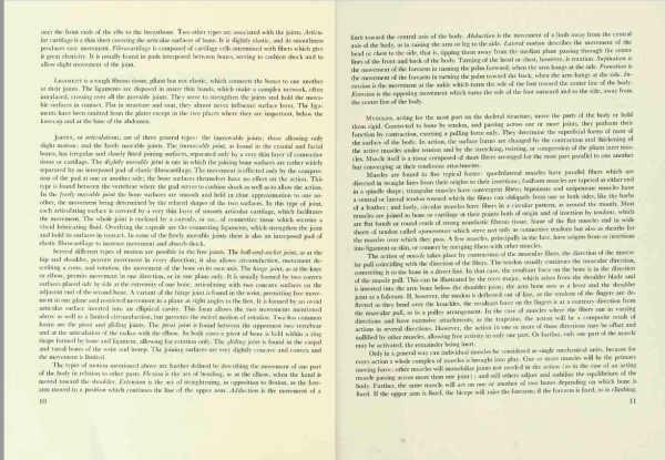 图片[3]-F047-【绘画指南】The Human Figure An Anatomy for Artists (Rubins David K.)-爱画画的卷心菜