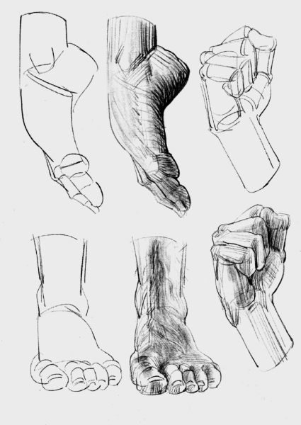图片[2]-F51-【绘画指南】Morpho Hands and Feet (Anatomy for Artists) (Michel Lauricella)-爱画画的卷心菜