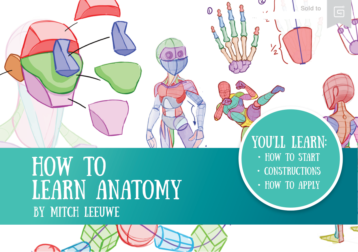 图片[1]-T1294-如何学习解剖学 | How to Learn Anatomy-爱画画的卷心菜