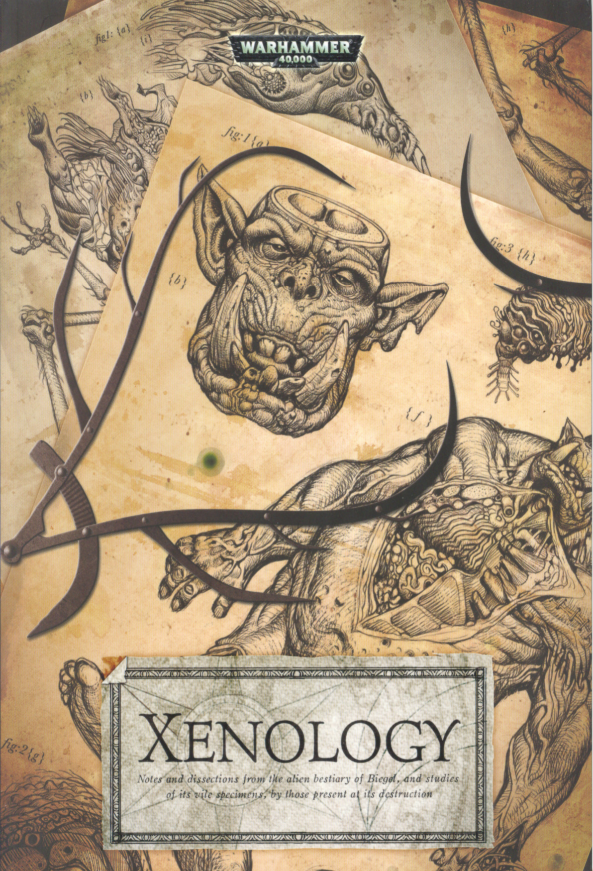 图片[1]-T1317-战锤40000 异种学 | Warhammer 40000 – Xenology-爱画画的卷心菜