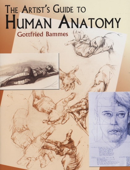 T1021-Gottfried Bammes 人体解剖学艺术家指南 | Gottfried Bammes - The Artist's Guide to Human Anatomy-爱画画的卷心菜
