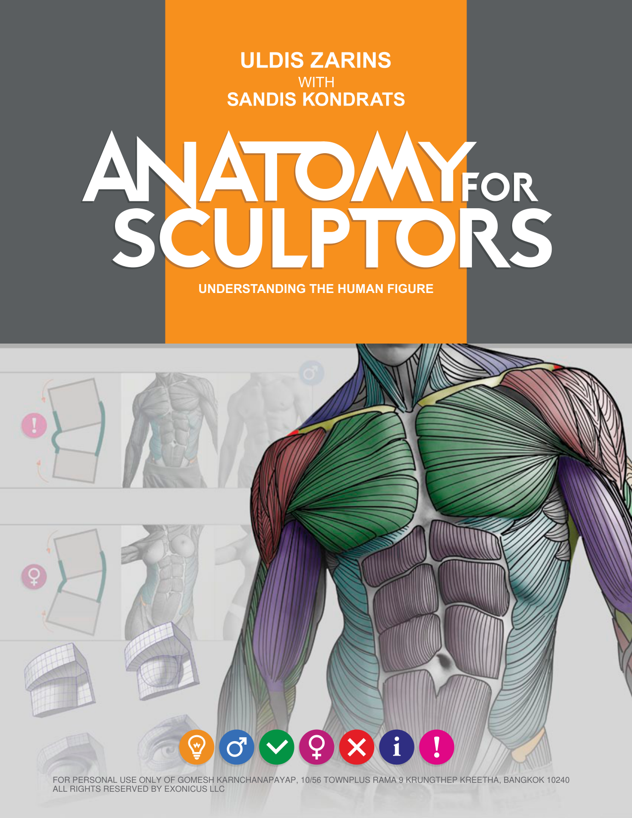 图片[1]-T1028-雕塑师的人体解剖：理解人体形态 | Anatomy for Sculptors, Understanding the Human Figure Uldis Za-爱画画的卷心菜