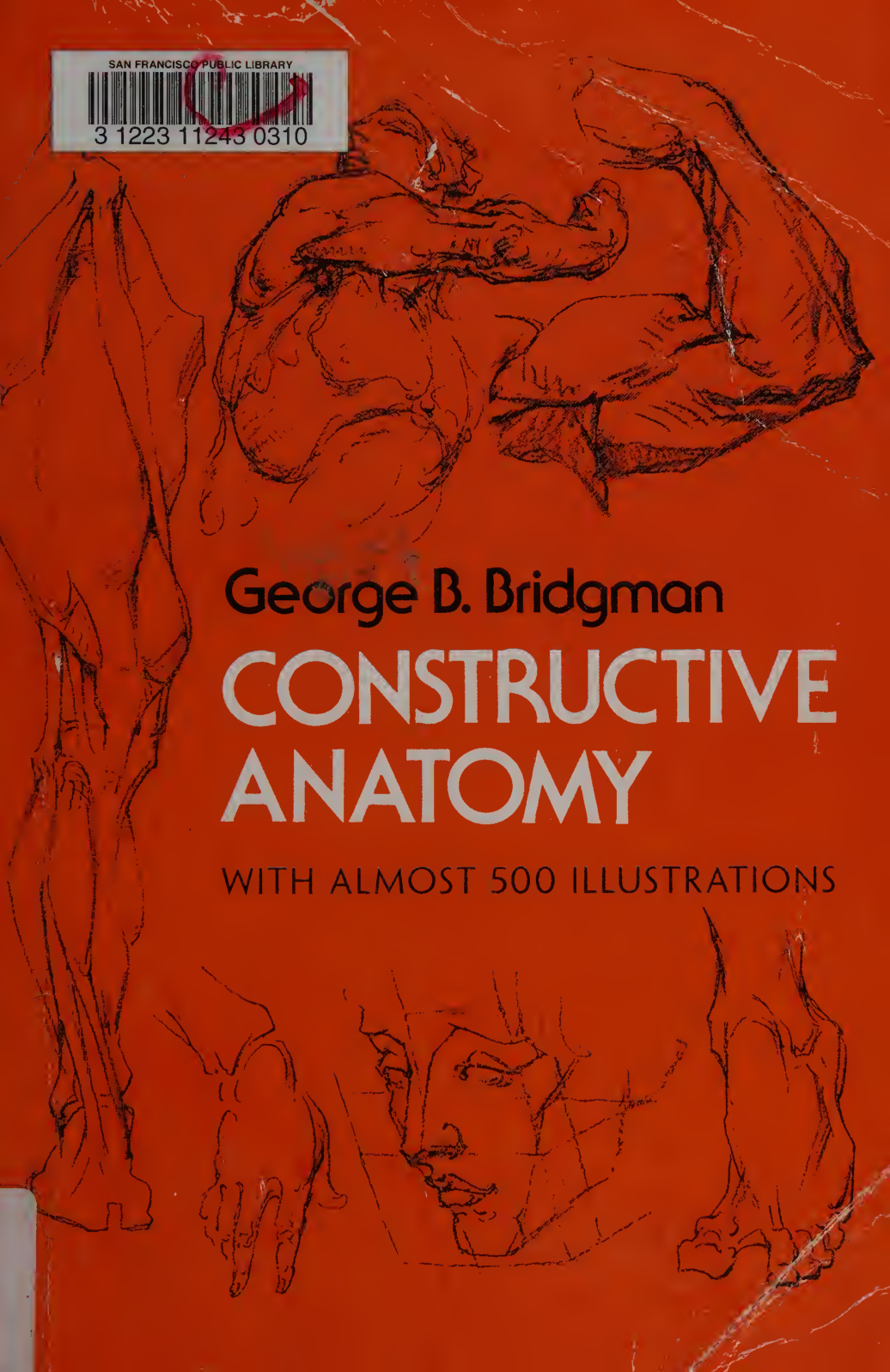 图片[1]-T1436-建设性解剖 收录近500幅插图 George | Constructive Anatomy Includes Nearly 500 Illustrations George-爱画画的卷心菜