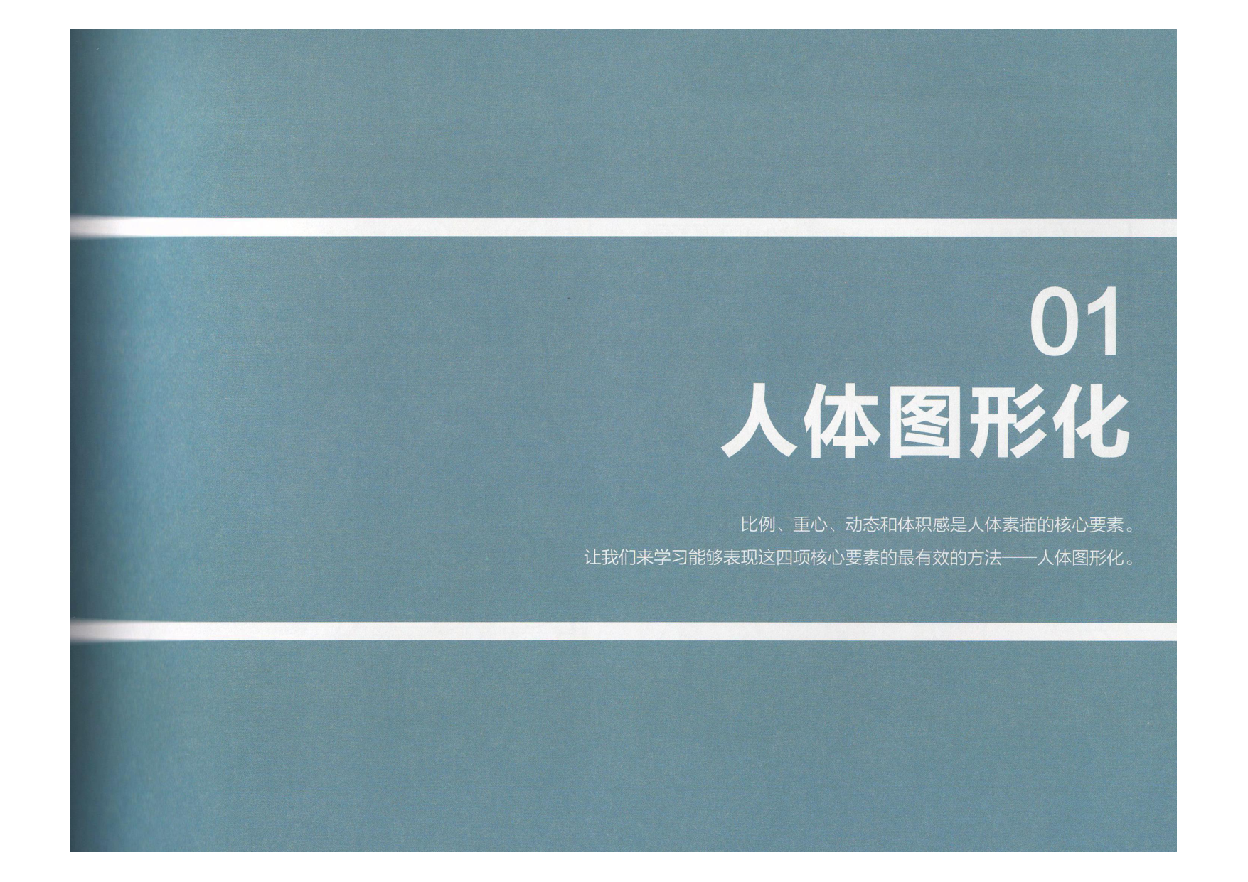 图片[2]-T1311-艺用动态解剖 | 艺用动态解剖 (金乐熹)-爱画画的卷心菜