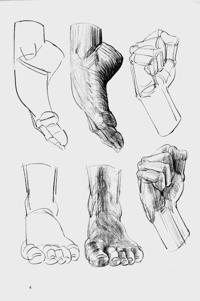 图片[2]-T1025-Lauricella Michel 形态手与脚 | Lauricella, Michel – Morpho Hands and Feet (2019)-爱画画的卷心菜
