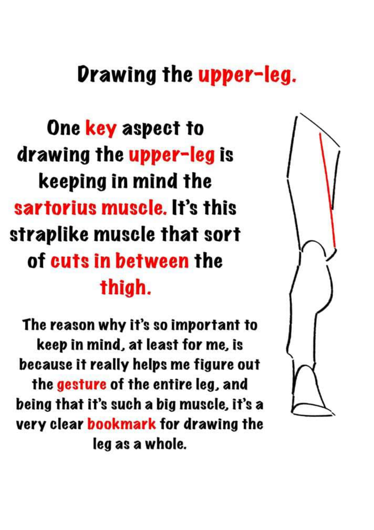 图片[2]-T144-腿部绘画 | Drawing legs-爱画画的卷心菜