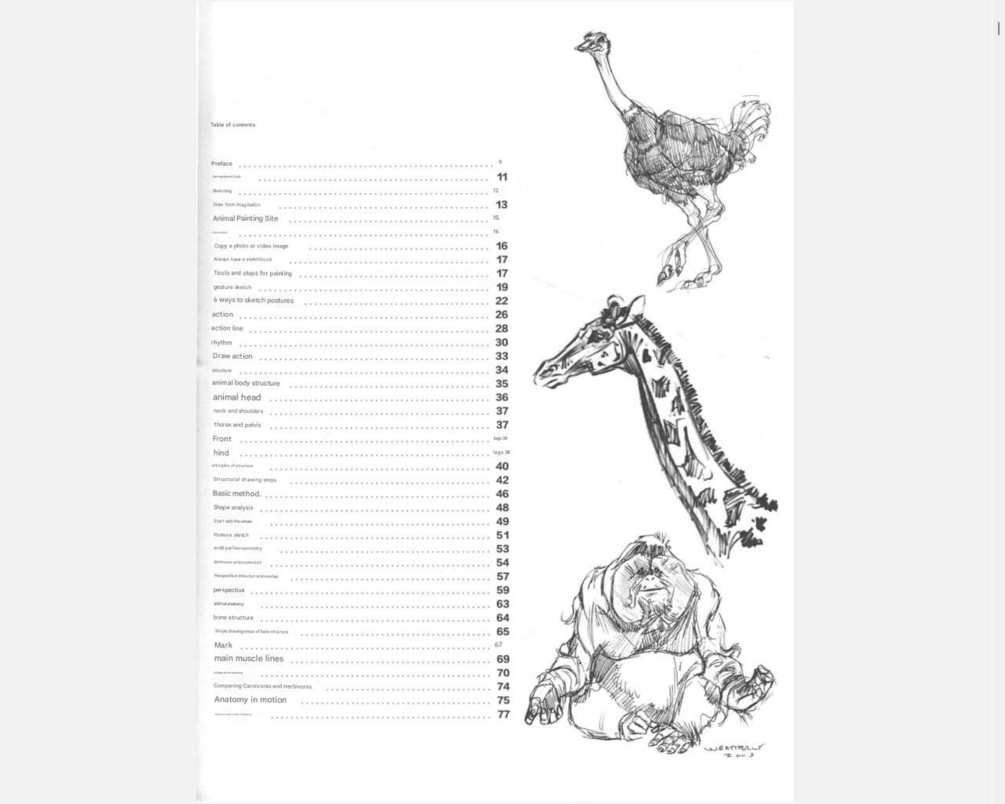 图片[3]-T1256-《Weatherly动物绘画指南》 | Weatherly guide of Animal Drawing-爱画画的卷心菜