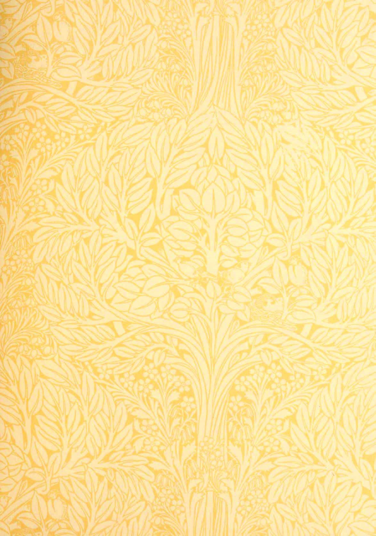 图片[3]-T1394-新艺术 | Art nouveau-爱画画的卷心菜