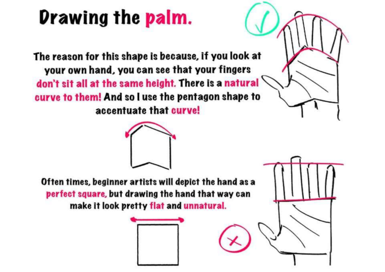 图片[3]-T145-绘制手部的技巧 | Tips for drawing hand-爱画画的卷心菜