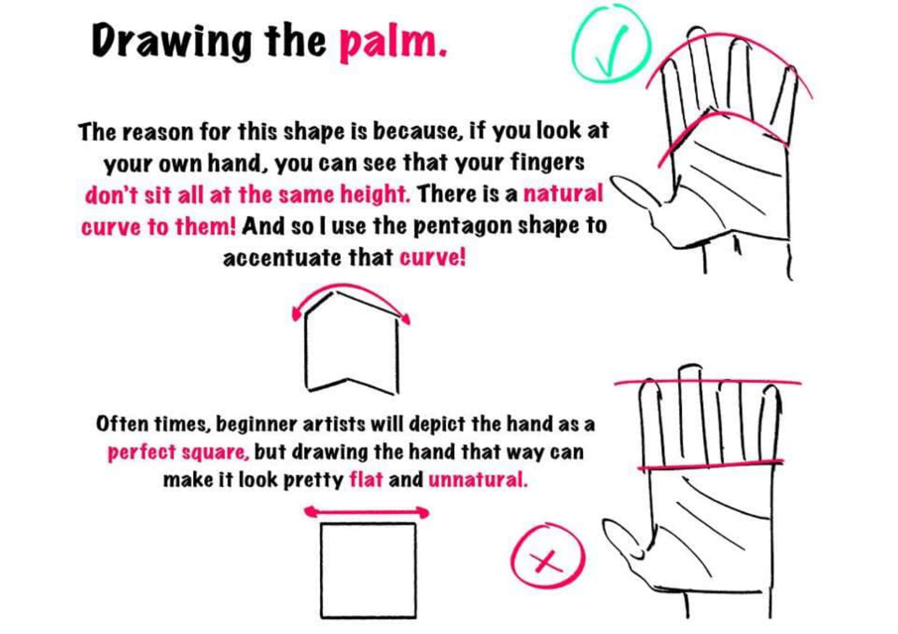图片[3]-T145-绘制手部的技巧 | Tips for drawing hand-爱画画的卷心菜