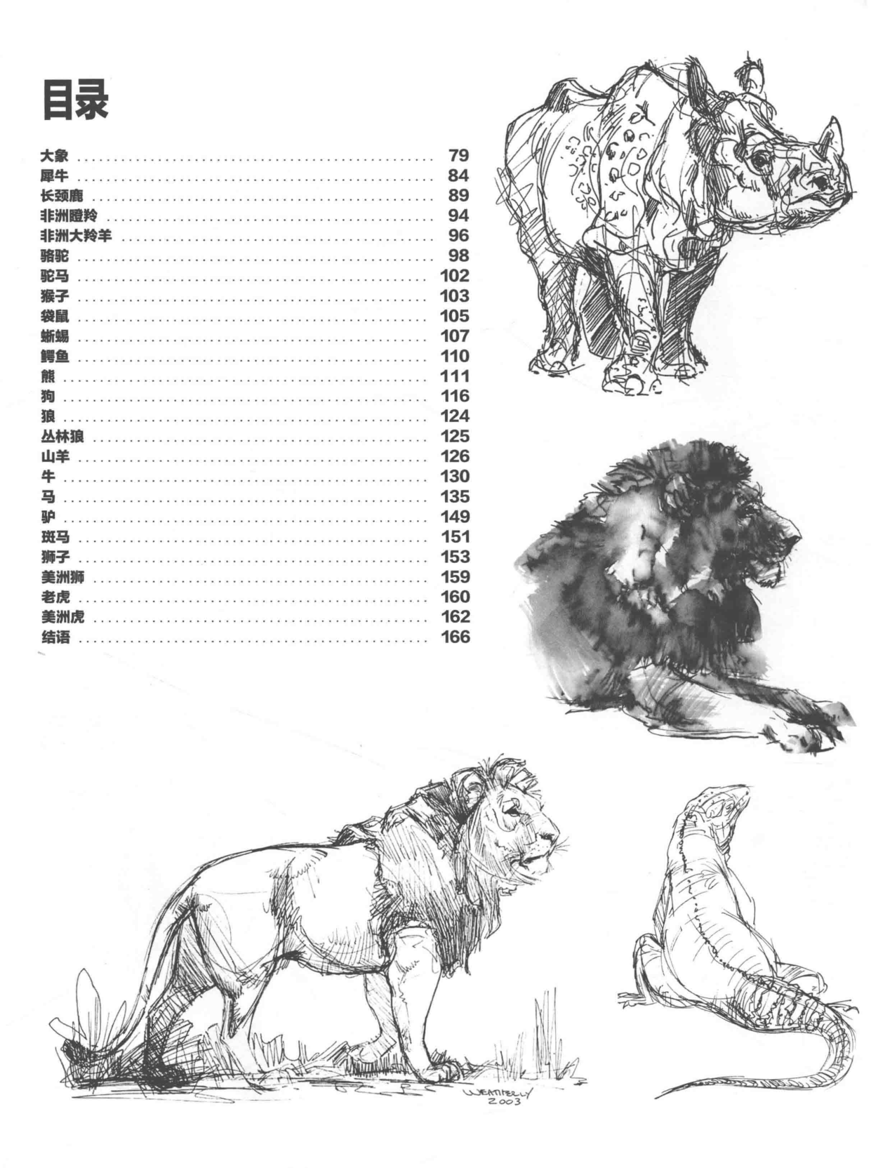图片[4]-T1307-中文版《Weatherly动物绘画指南》Joe Weatherly | Chinese Version Weatherly Guide to Drawing Animals Joe Weather-爱画画的卷心菜